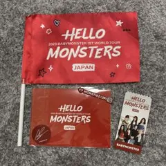 未使用】BABYMONSTERワールドツアープレミアムシート特典グッズ銀