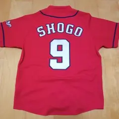 最終価格【アレンジ品】広島東洋カープ ハイクオリティユニ#0 木村拓也さん L 最終価格【アレンジ品】広島東洋カープ ハイクオリティユニ#0