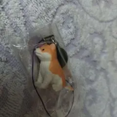 柴犬 カプセルトイ