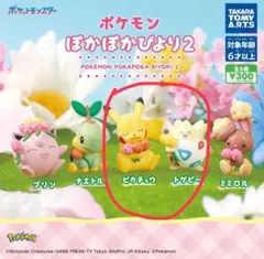 ポケモン　ぽかぽかびより2 ピカチュウ　トゲビー