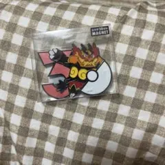 포켓몬 30周年記念 マグネット エンブオー