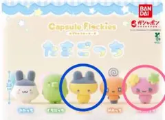 たまごっち カプセルフロッキーズ ふらわっち まめっち