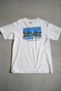 anvil MIDDLEBURY COLLEGE Tシャツ カレッジ USA製