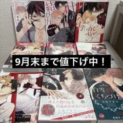 BL漫画 まとめ売り 大量セット40冊 - メルカリ