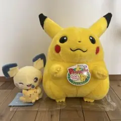 ポケモン30周年記念 おかえり！ピカチュウ1/1　ぬいぐるみ セット