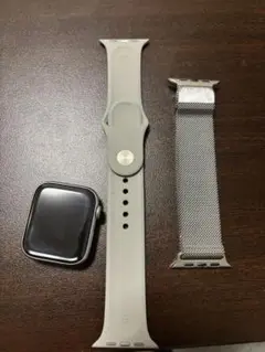 apple watch チタン(44mm)+ミラネーゼループ(純正)+純正バンド