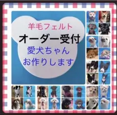 ①羊毛フェルト 犬　メモリアル　オーダー　受付ページ