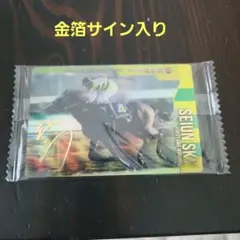 2026年最新】セイウンスカイ 馬券の人気アイテム - メルカリ