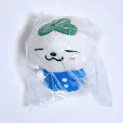 2026年最新】イケモン teez-monの人気アイテム - メルカリ