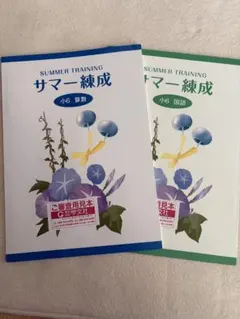2026年最新】練成テキスト 算数の人気アイテム - メルカリ