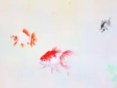 掛軸　魚　柴田頼皇 「金魚」　日本画　古美術品　骨董品　アート　絵画　絵のサムネイル