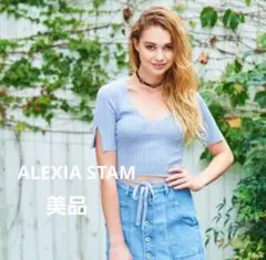 管理番号95】ALEXIA STAM ライトブルー半袖トップスのサムネイル