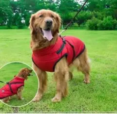 ハーネス付きコート　赤　犬服　中型犬　大型犬　防寒　わんこ