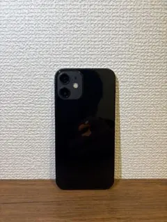 Apple iPhone 12mini 256GB ブラック(付属品有)