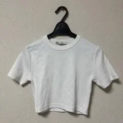 ZARA クロップドTシャツ