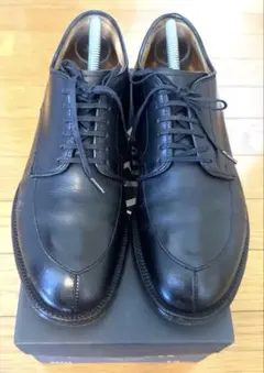 Alden 54411 Vチップ カーフ 7Dのサムネイル