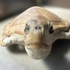 亀置き物インテリアのサムネイル