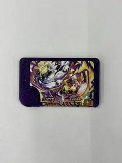 フレンダピック　タケルライコ