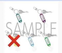 ハイキュー!!トレーディングカードゲーム高校名付き鍵チャームキーホルダー 第2弾