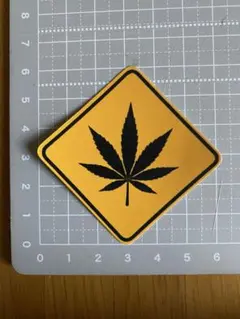 Item thumbnail for item cb3a6b0b-b194-4168-9f9c-4c7a9e88102f