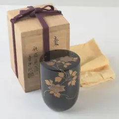 Item thumbnail for item aafa5a58-a2da-4db4-9ec8-71ac7064912b