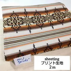 Item thumbnail for item 66b6c2ff-83d0-47d2-a069-22198ac47db7