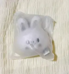 Stray Kids フェイスキーリング シルバー リービット リノ