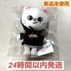 【新品未使用】ジニレット ミニ ぬいぐるみ skzoo スキズ ヒョンジン