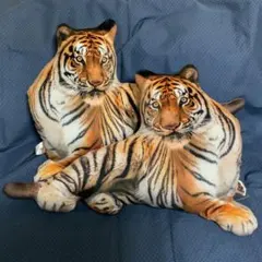 猛獣 リアルトラ BIGクッション ぬいぐるみ びっくりグッズ 2点セット