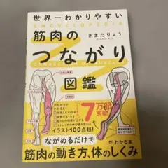 世界一わかりやすい 筋肉のつながり図鑑 きまたりょう