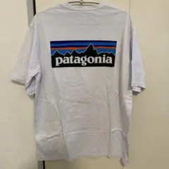 patagonia ホワイトTシャツ