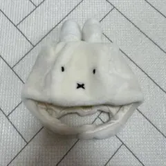 Item thumbnail for item bcd9d18a-3a80-4dca-9b44-0178ecb21121