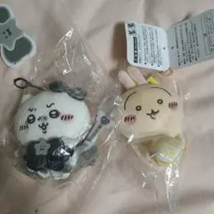 Item thumbnail for item 73724dcf-57da-4fb9-993e-5ba0ae8f9902