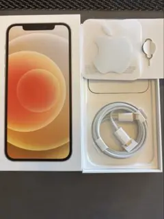 新品未使用 充電ケーブル SIMピン 箱 iPhone Apple 純正 - メルカリ