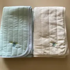 Item thumbnail for item 6f4710fe-5322-44d6-9597-4a7b0ccd0971