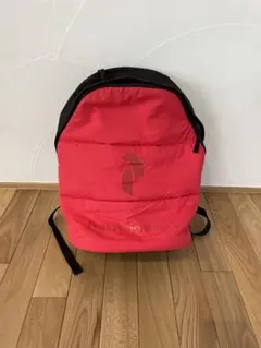 ピークパフォーマンス リュック デイパック