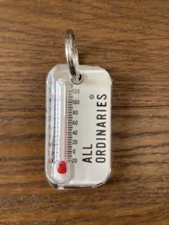 オールオーディナリー温度計キーホルダー