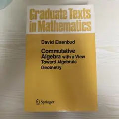 Commutative Algebra with aView Toward AG