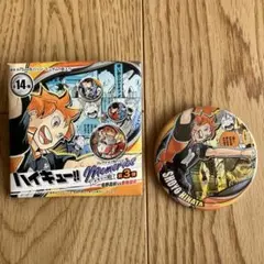 【新品】　ハイキュー　コレクション缶バッジ　メモリーズ　日向