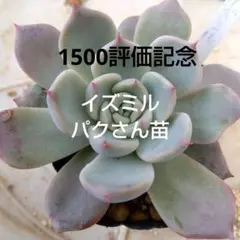 Zoo Zoo様 リクエスト 4点 まとめ商品