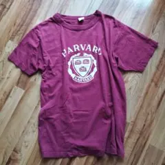 1980's チャンピオン トリコタグ HARVARD 6段プリントTシャツ