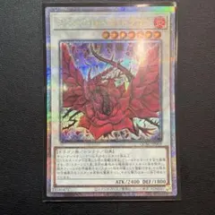 遊戯王 ブラック・ローズ・ドラゴン 25thシークレット 中国語 アジア
