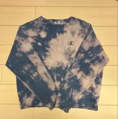 Champion チャンピオン ヴィンテージ スウェット