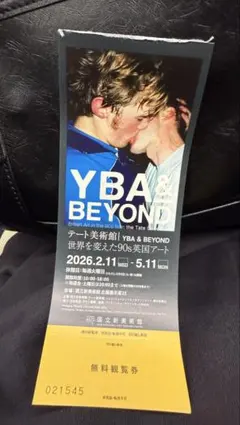 テート美術館　YBA & BEYOND 無料観覧券のサムネイル