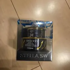 シマノ 13ステラSW 6000番スプール