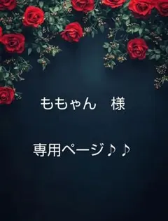 ももゃん様専用ページ♪♪