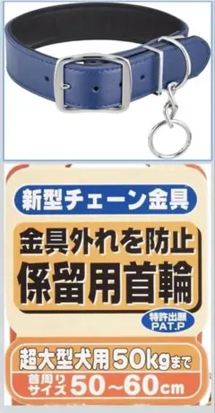 Item thumbnail for item 46680c9b-3b24-459f-9c70-8519ea7ebff5