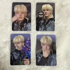 &TEAM JO ジョウ ソロジャケ ROAR ver. トレカコンプ