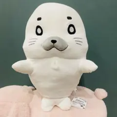 小3アシベ QQゴマちゃん めちゃもふぐっとぬいぐるみ