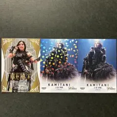 3枚 BBM2025 INFINITY 上谷沙弥 インサート キラ レギュラー